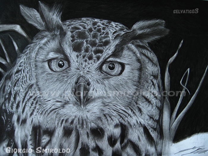 Disegni matita - 